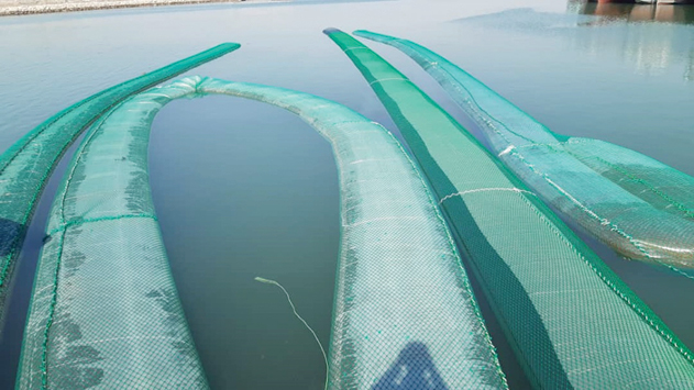 کشف یک میلیون لیتر سوخت قاچاق در مشک‌های ماری