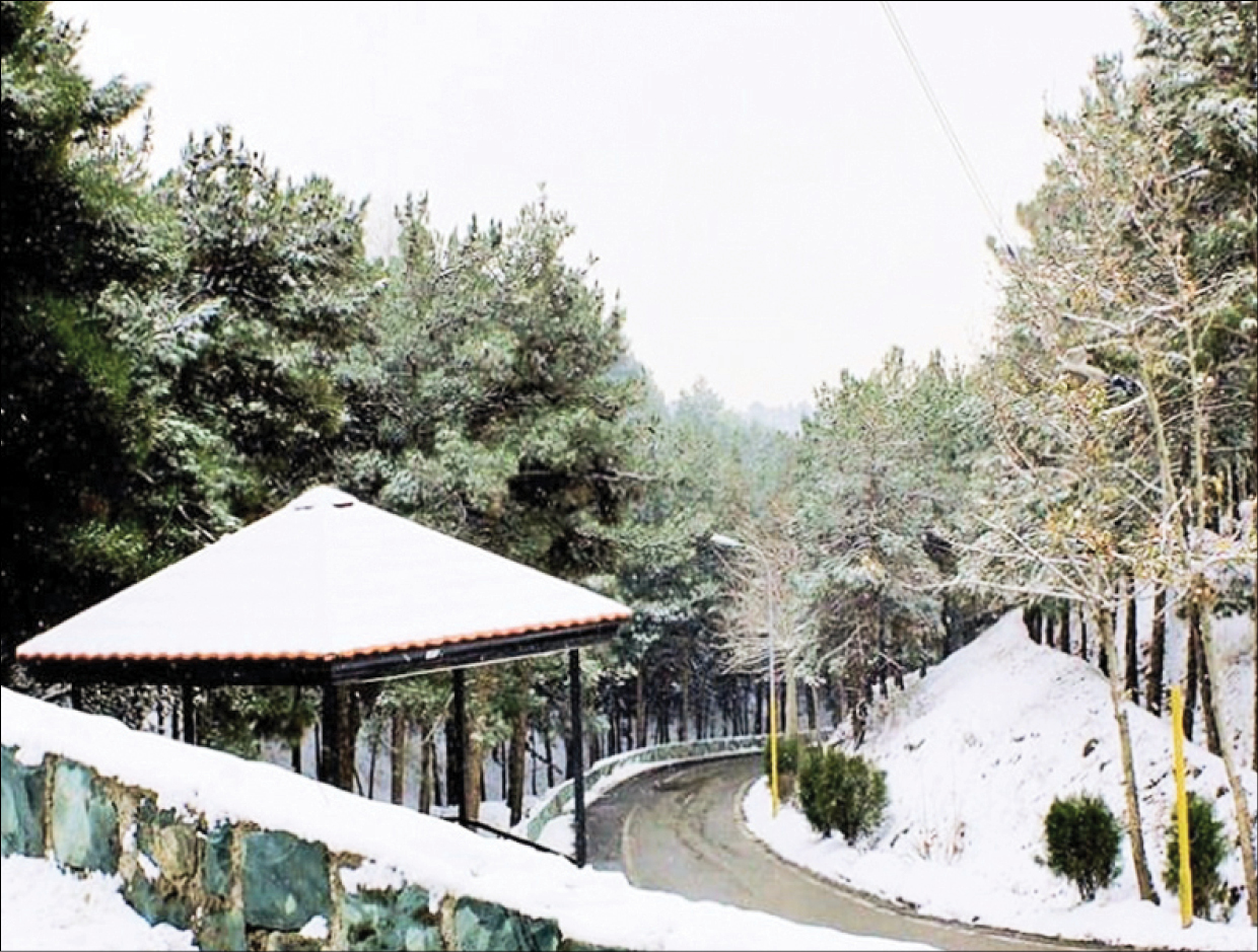 خاطره‌سازی با گلوله‌های برفی