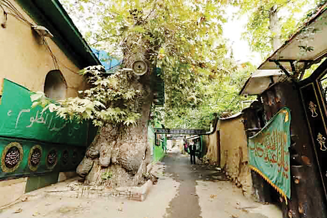 نشان امامزاده