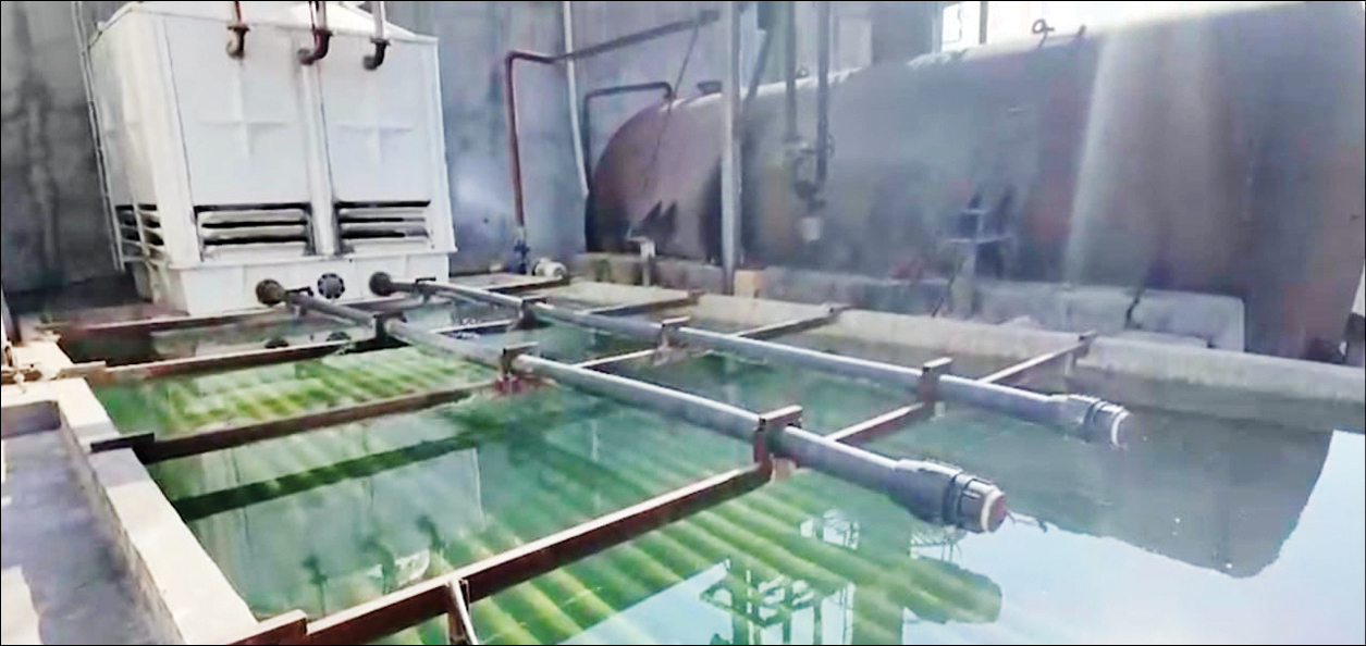 فرصت تاریخی برای اصلاح توزیع سوخت