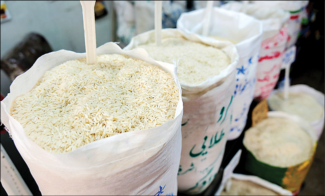 چگونه بازار برنج به هم ریخت؟
