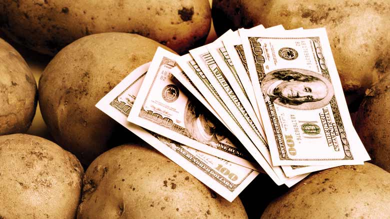 سیب‌زمینی بی‌قیمت شد