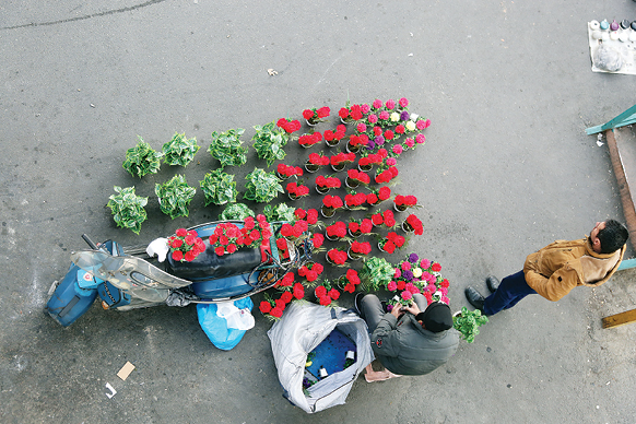 گل عزیز است...