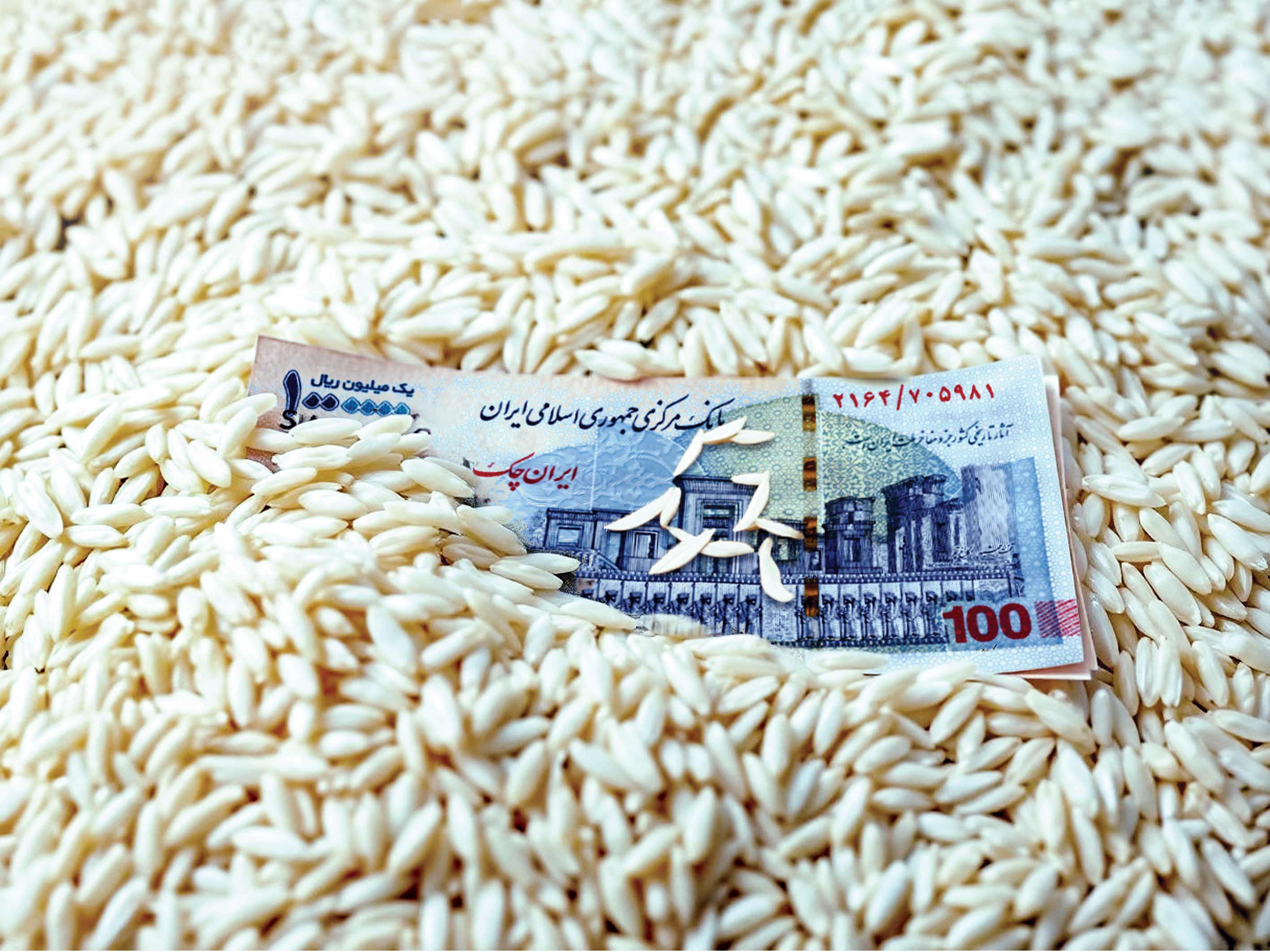 قیمت برنج قد کشید