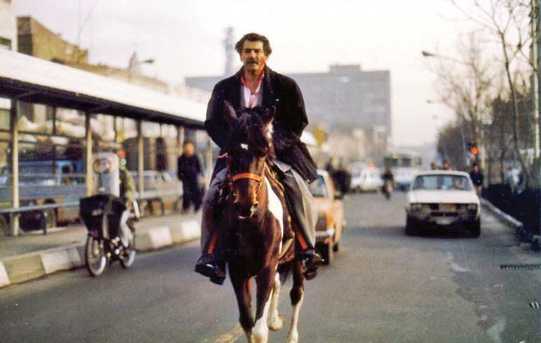 رد پای یک گرگ