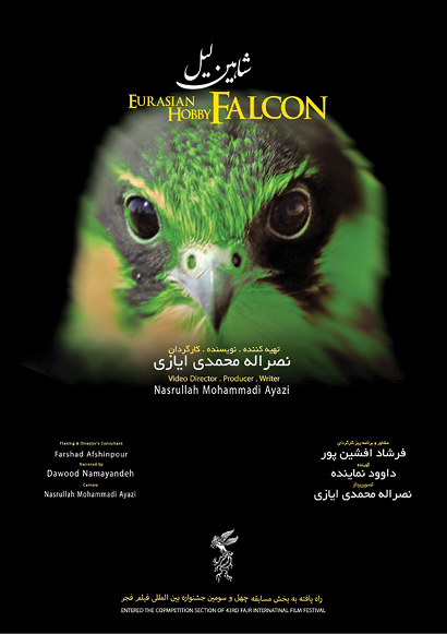 ۸ سال صرف وقت برای ساخت مستند