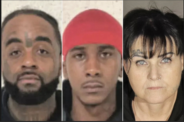 دستگیری زوج سارق در ‌ماه‌عسل