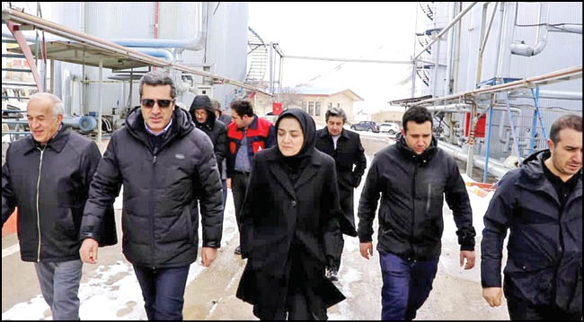 اشتغال نیروهای بومی متخصص در آذربایجان شرقی