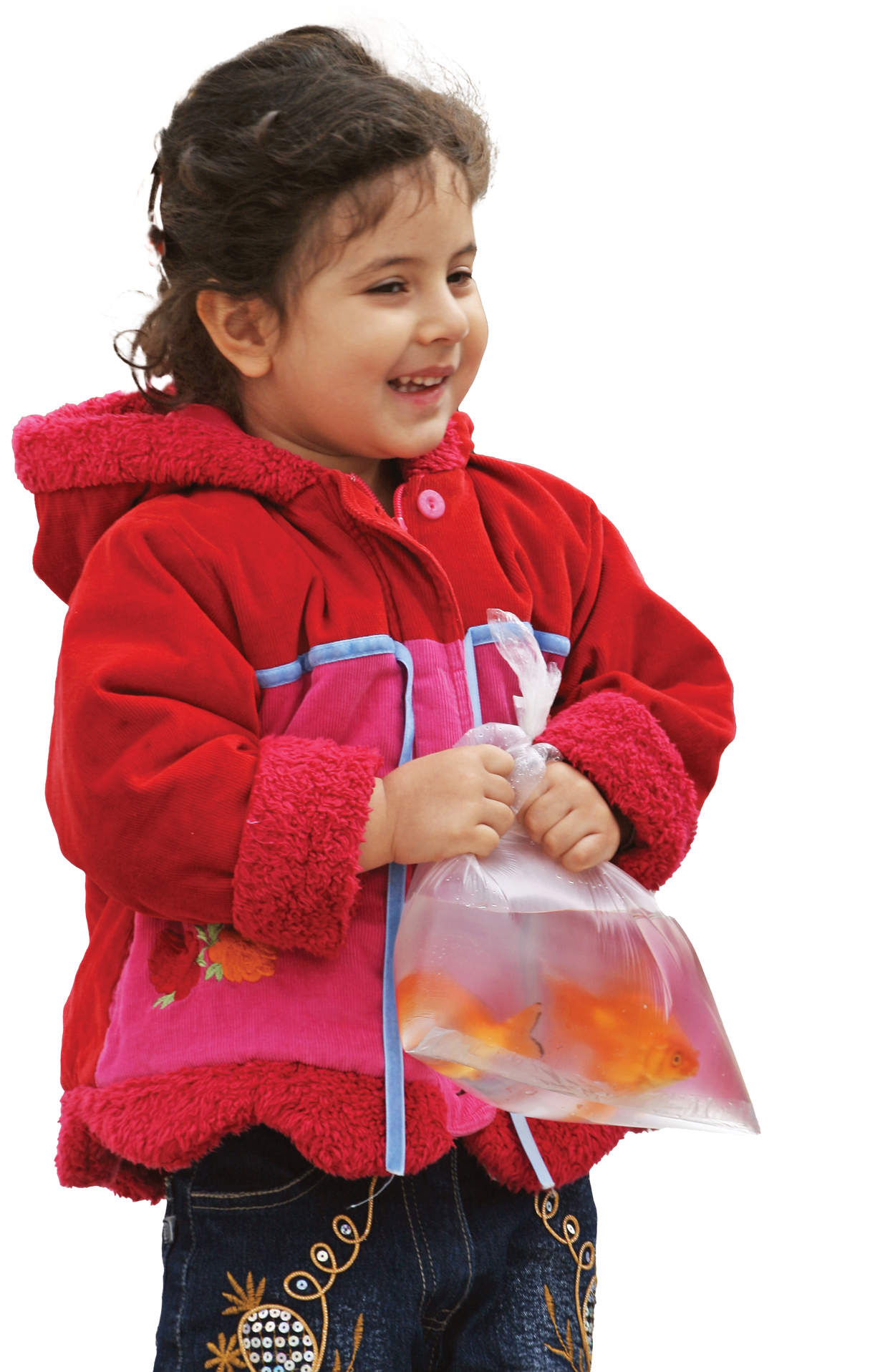 کارنامه سیاه ماهی قرمز