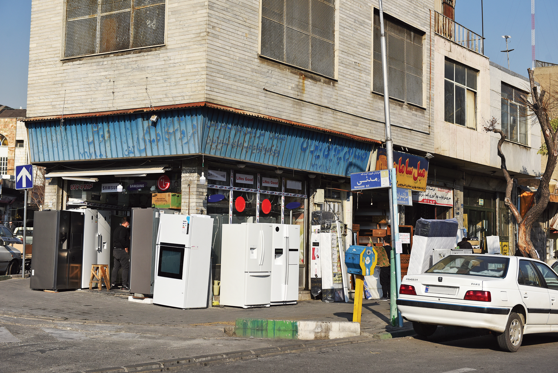 عجیب مثل بوگیرکفش میت و سمساران محیط‌زیستی