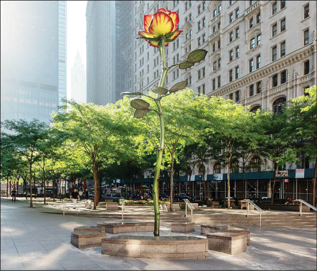 گل‌هایی که خبر از بهار می‌دهند