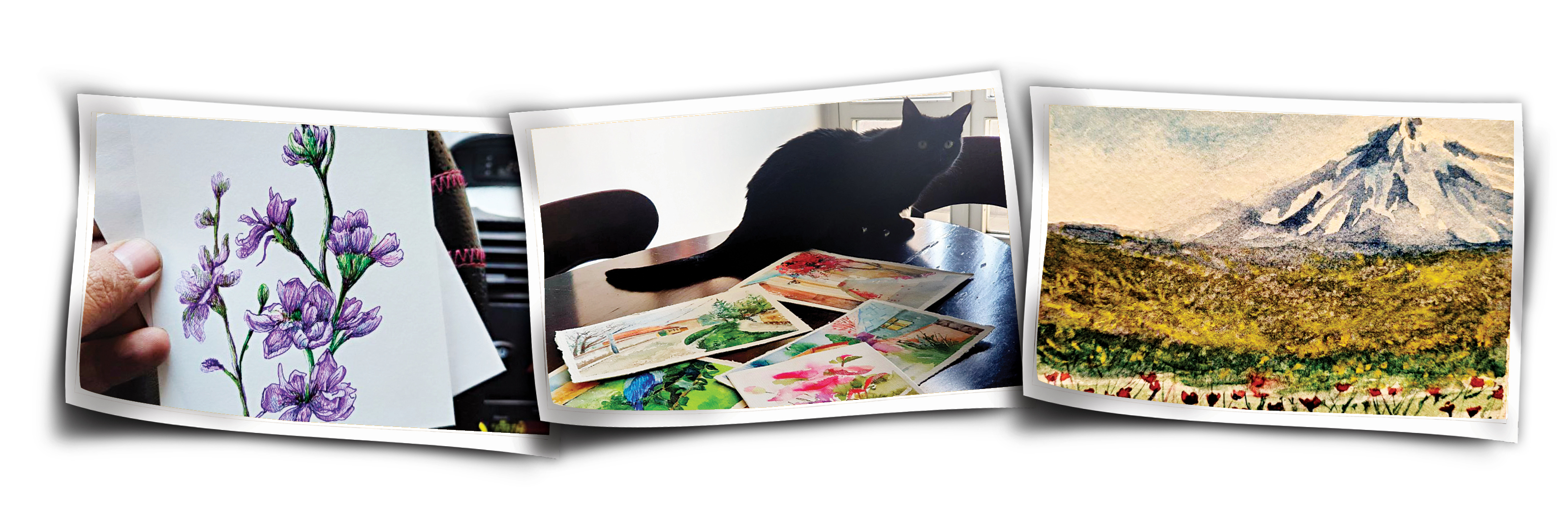 هدیه‌ای تقدیم به شهر