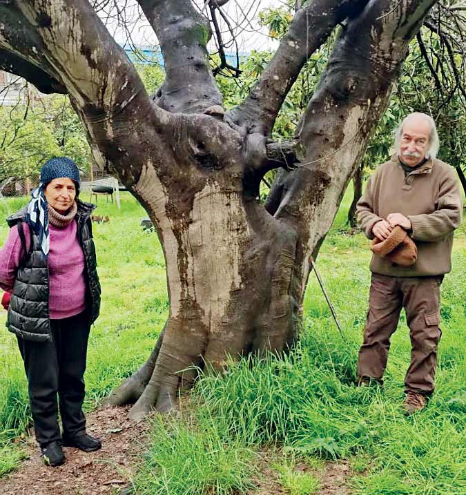 بپا جنی نشی