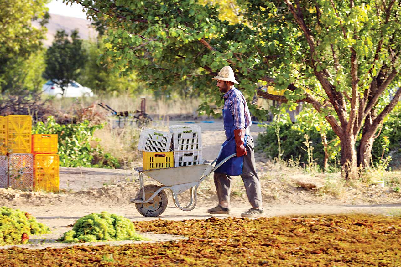 یک قبرستان عجیب