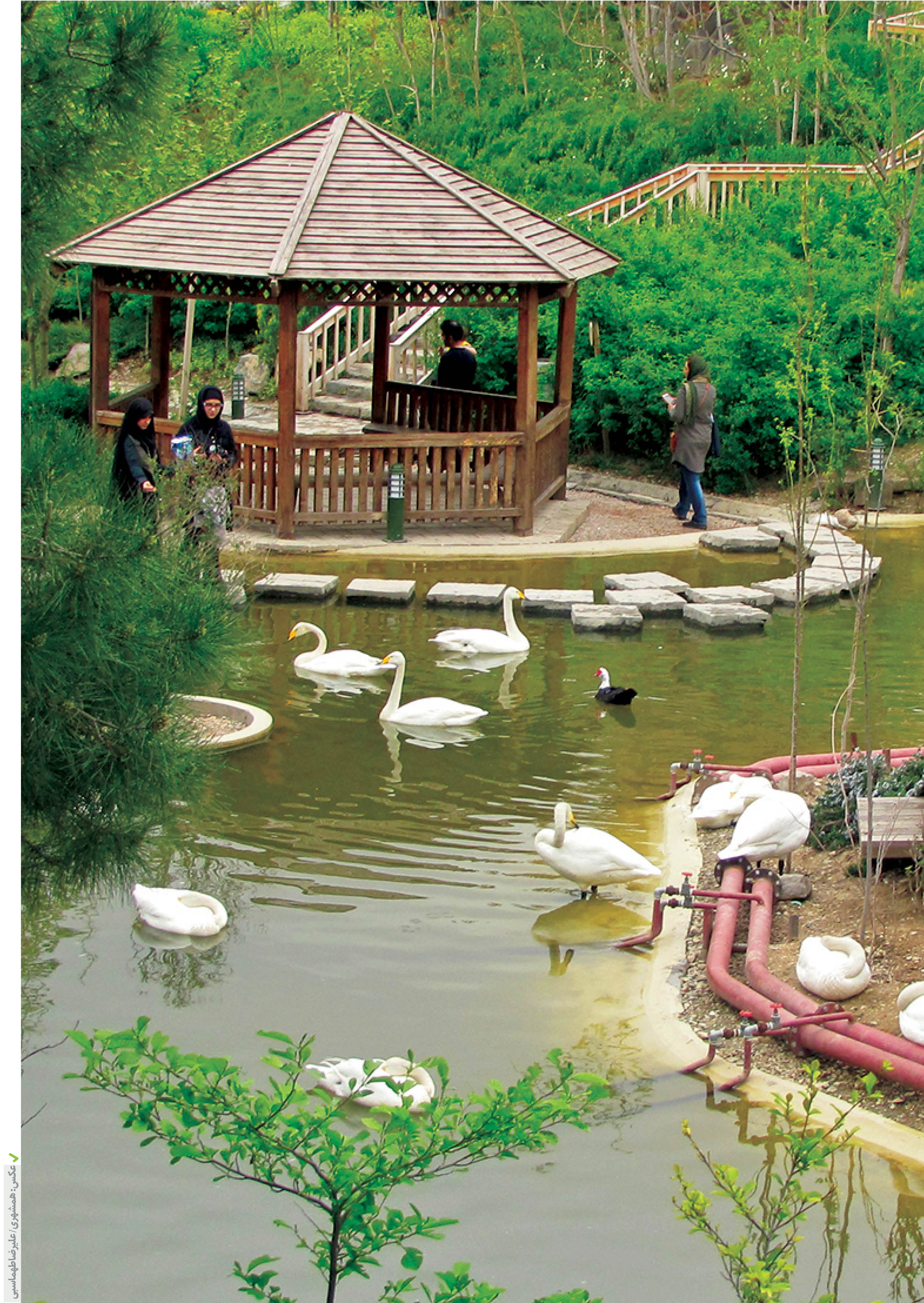 بهارگردی در پایتخت