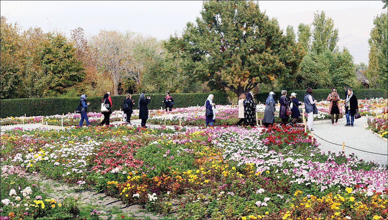 در مرزهای غربی پایتخت به تماشای گل‌ها و گیاهان بنشینید