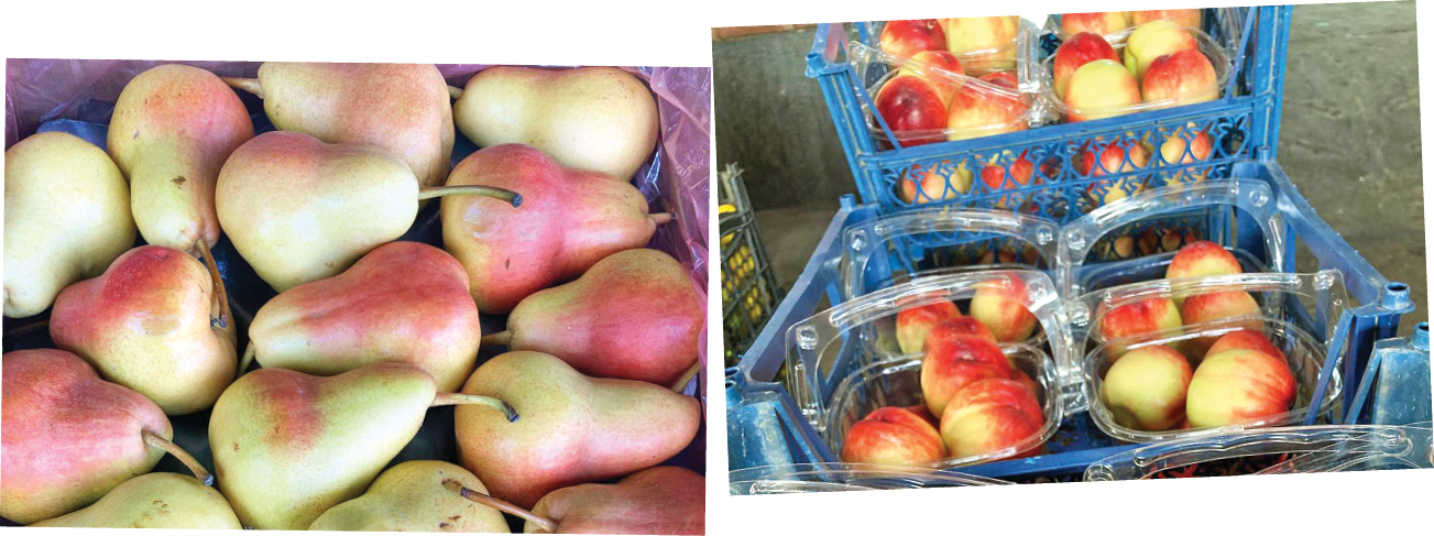 خردادی میلیونی