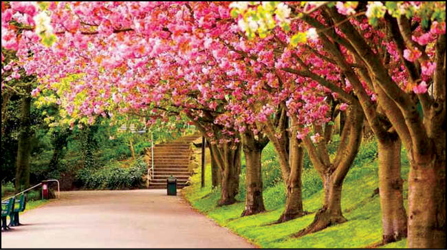 مزاج‌شناسی بهار