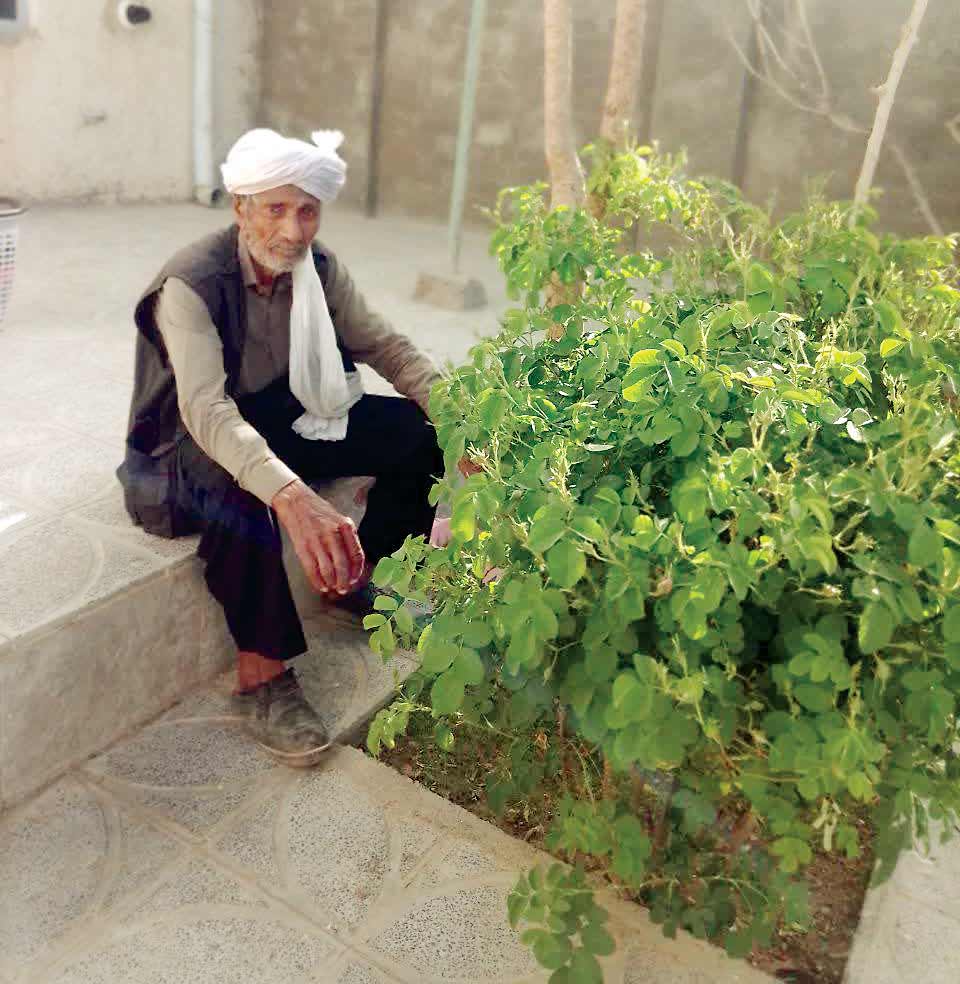 از گندم‌کاری تا آسیابانی