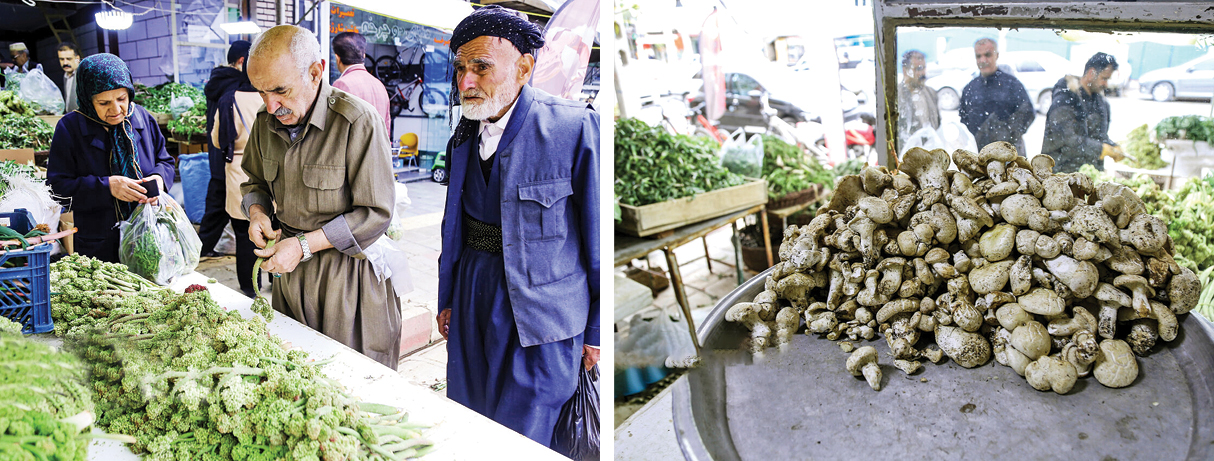 بازار گیاهان بهاری