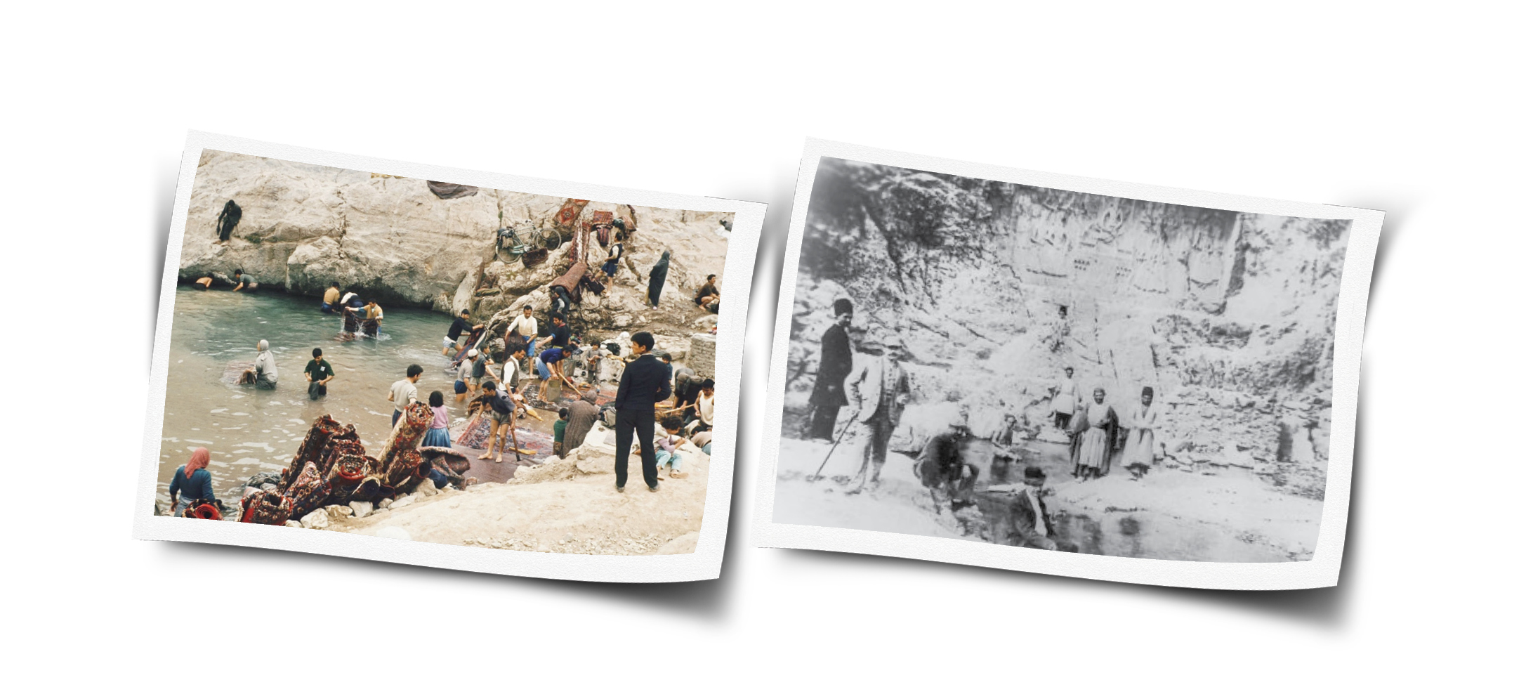 صیدماهی‌های زردرنگ به امید درمان یرقان!