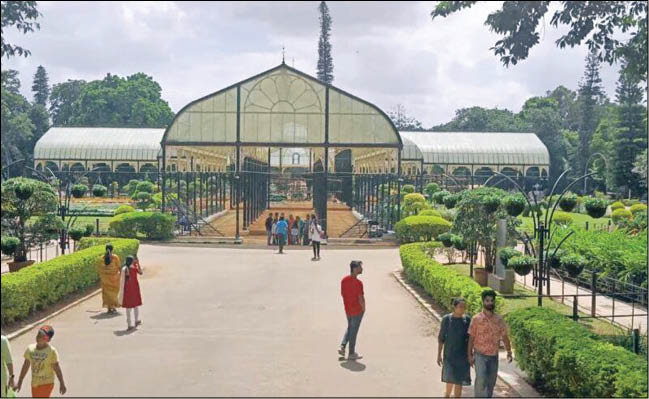 درختان با آبیاری مکانیزه زنده می‌مانند