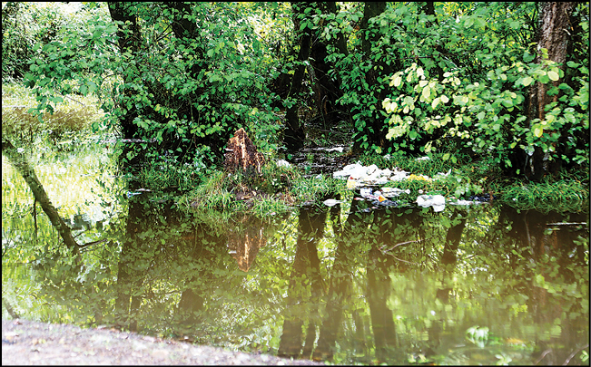 با پسماندهای شمال چه کنیم؟