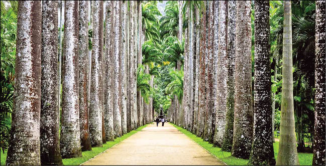 گنج‌‌های طبیعی در شهر