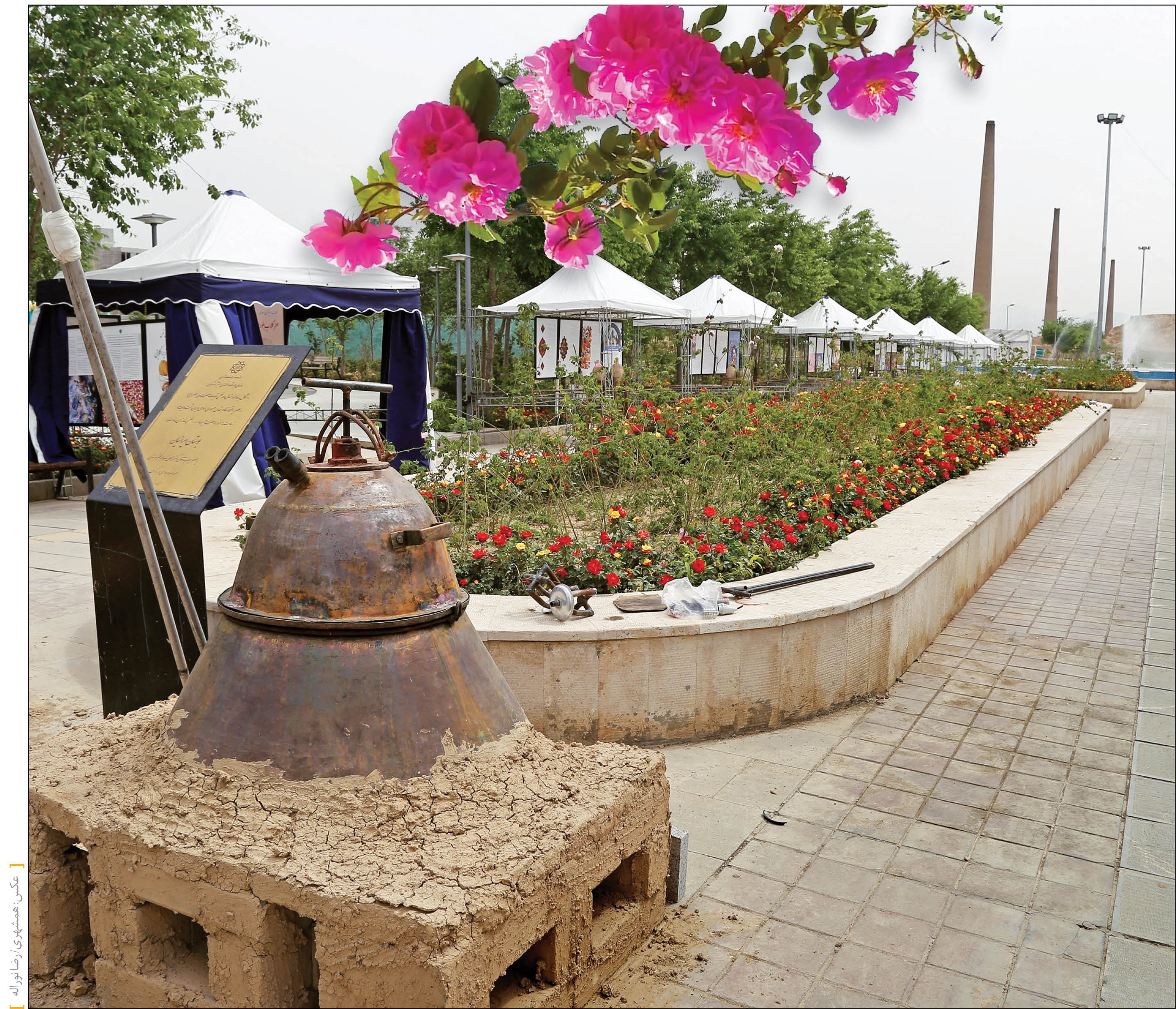 تهران گلاب دارد