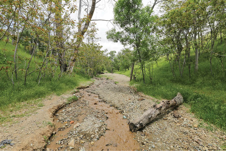 سازه های هویتی یک محله‌