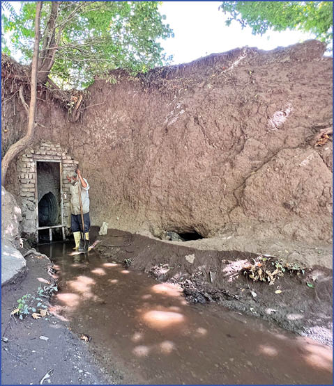 مقصودبیک از سیل جان سالم به در برد