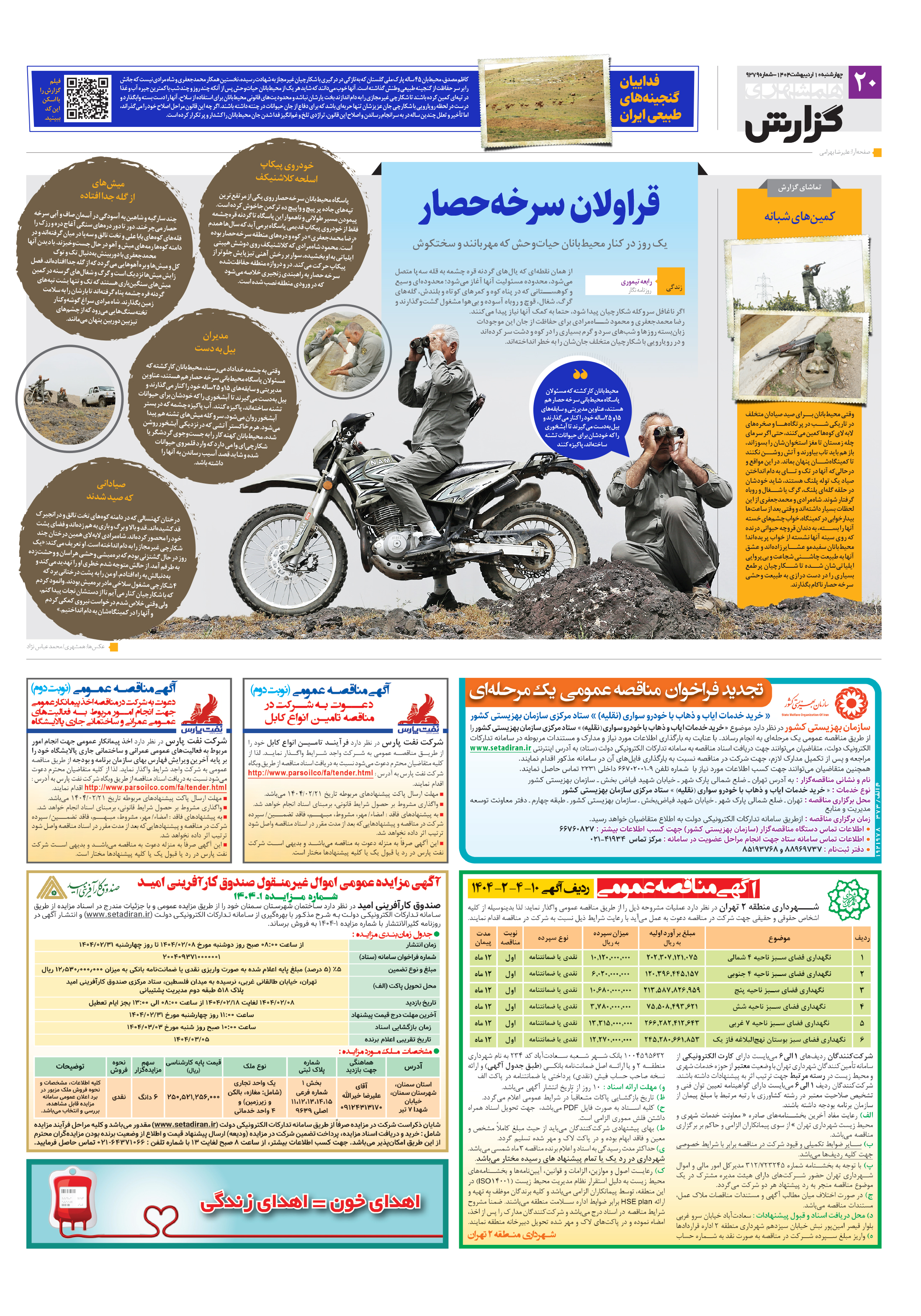 همشهری گزارش