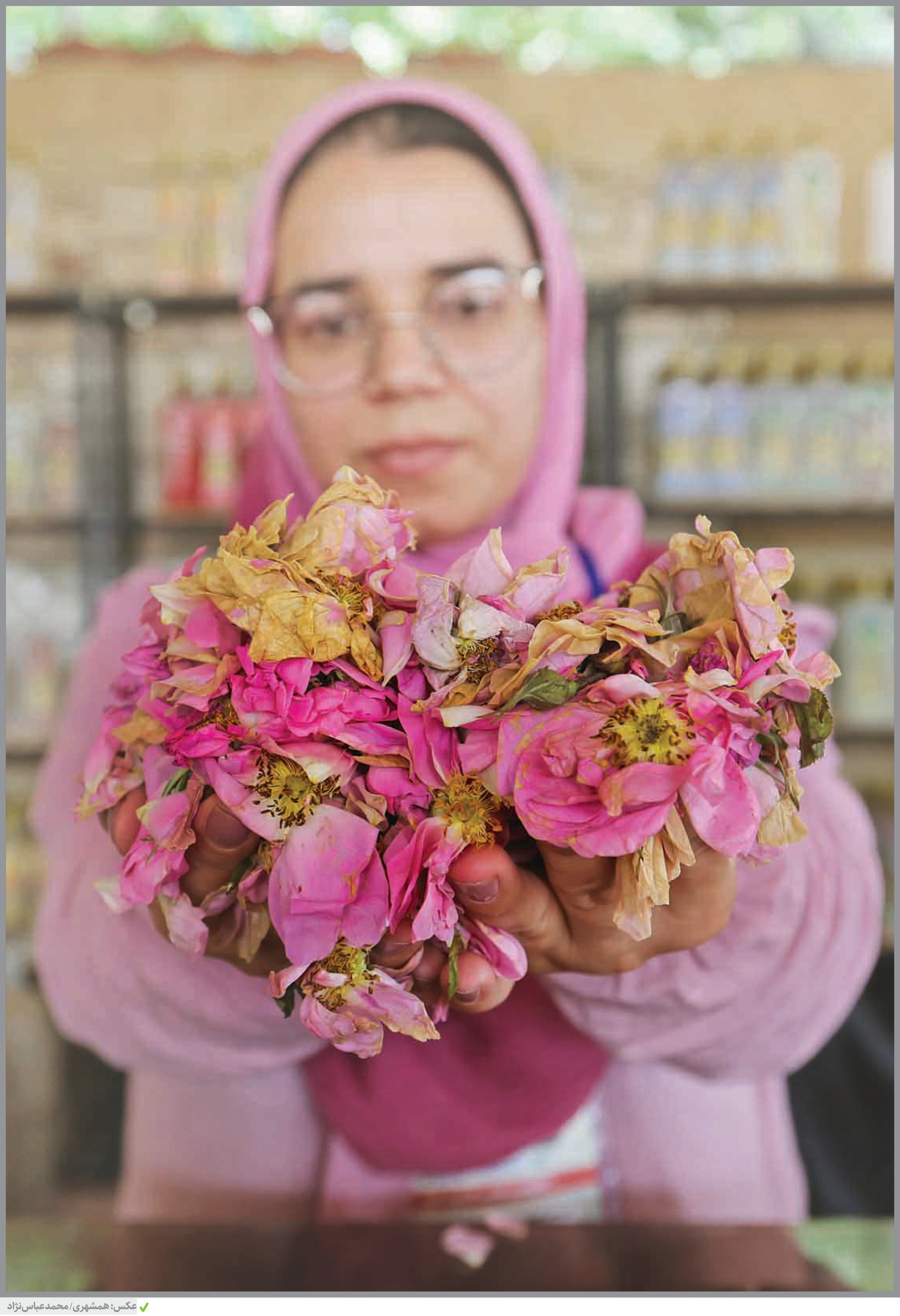 عطر گلاب قمصر در پایتخت