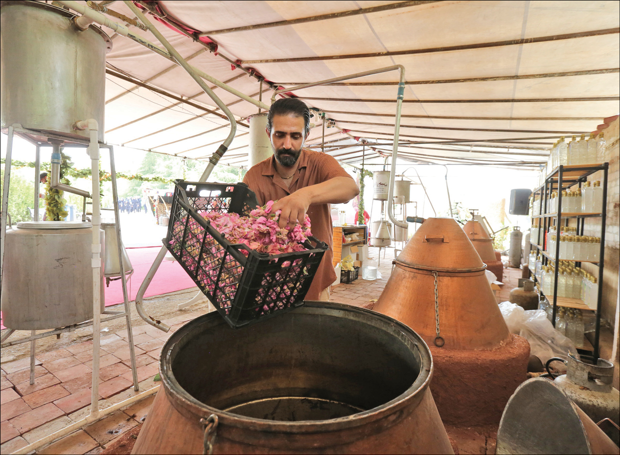 جشنواره گل و گلاب تا نیمه خرداد برپاست