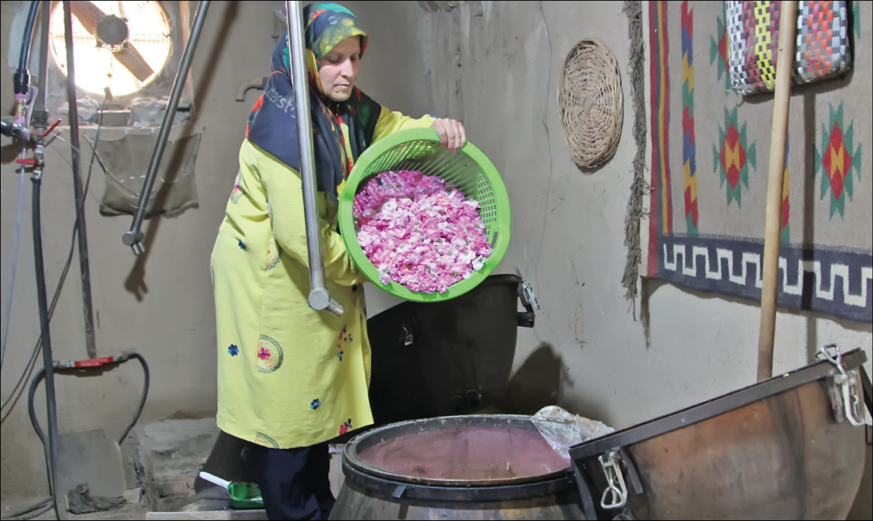 قمصرگردی اطراف پایتخت