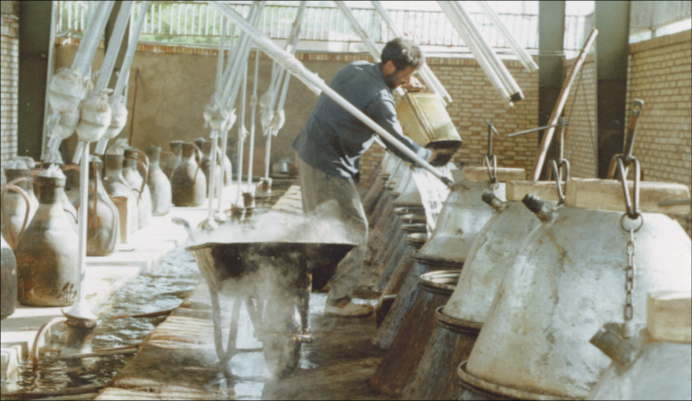 گشت و‌گذار در یک کارگاه گلابگیری سنتی که با ذوق یک شهروند راه‌اندازی شده است