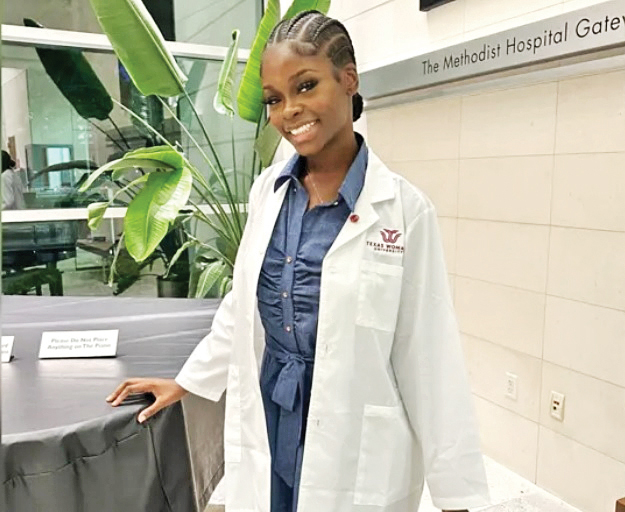 قتل به‌خاطر گربه