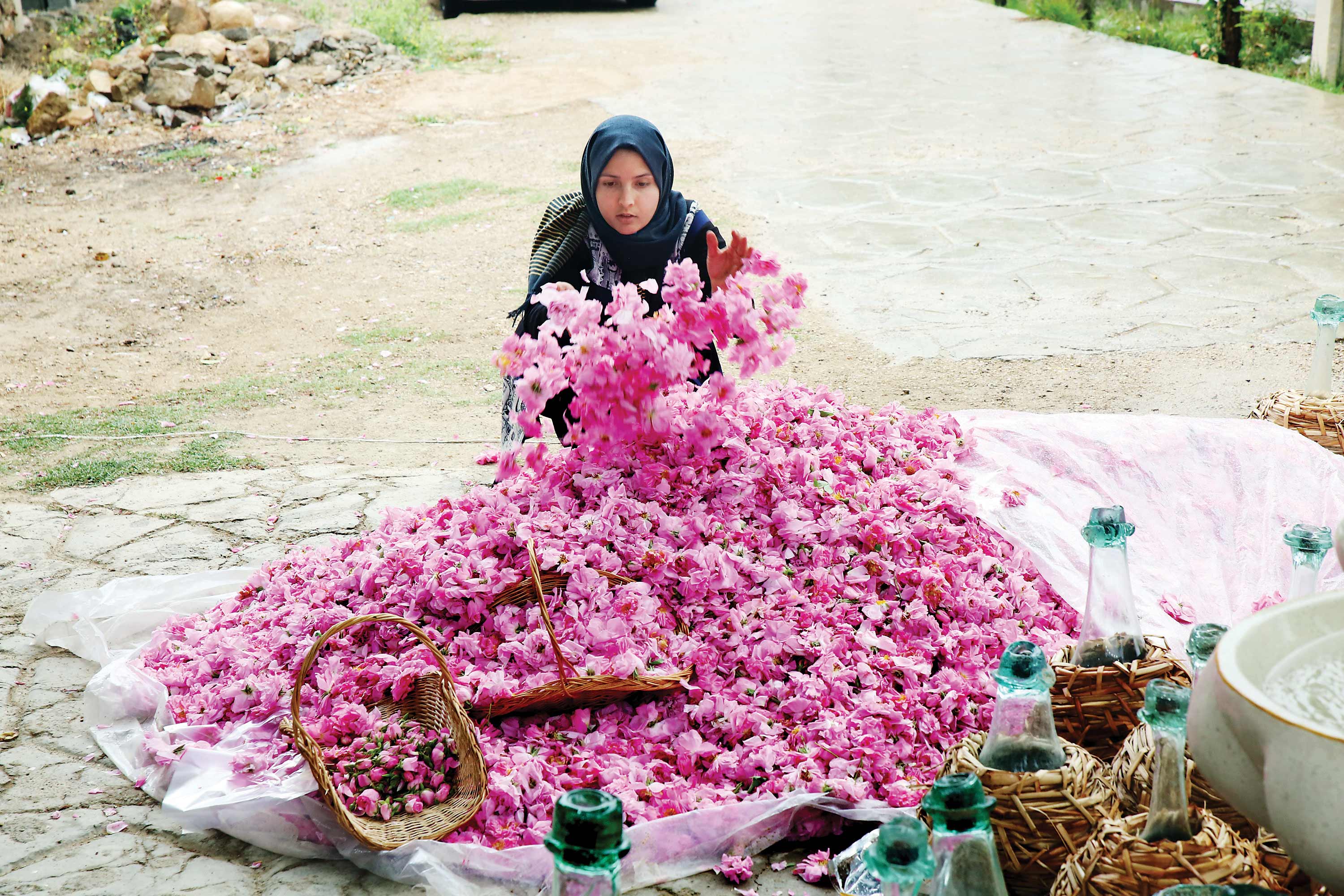 مقصد: سرزمین گل‌ها