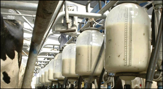 شیرخام ۲۷.۷ درصد گران شد