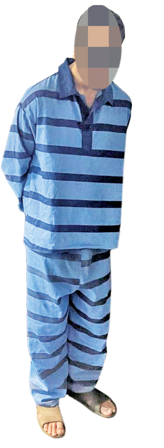 متهمان با ادعای خرید یک گربه خاص طعمه‌هایشان را فریب می‌دادند