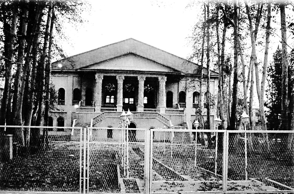 باغی برای سینما