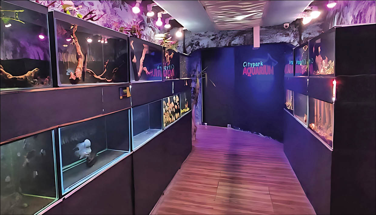 در قدیمی‌ترین پارک پایتخت گردش کنید