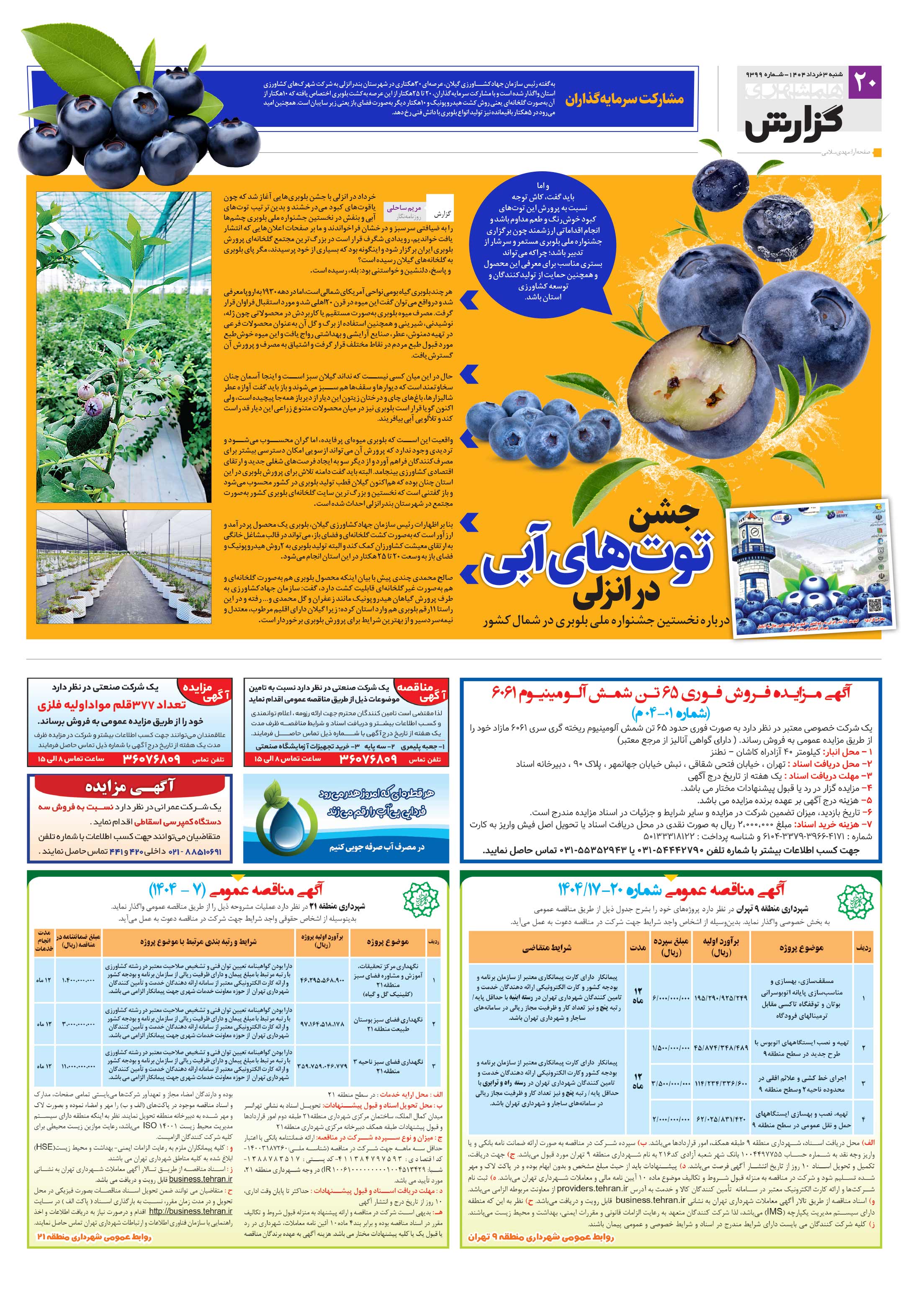 همشهری گزارش