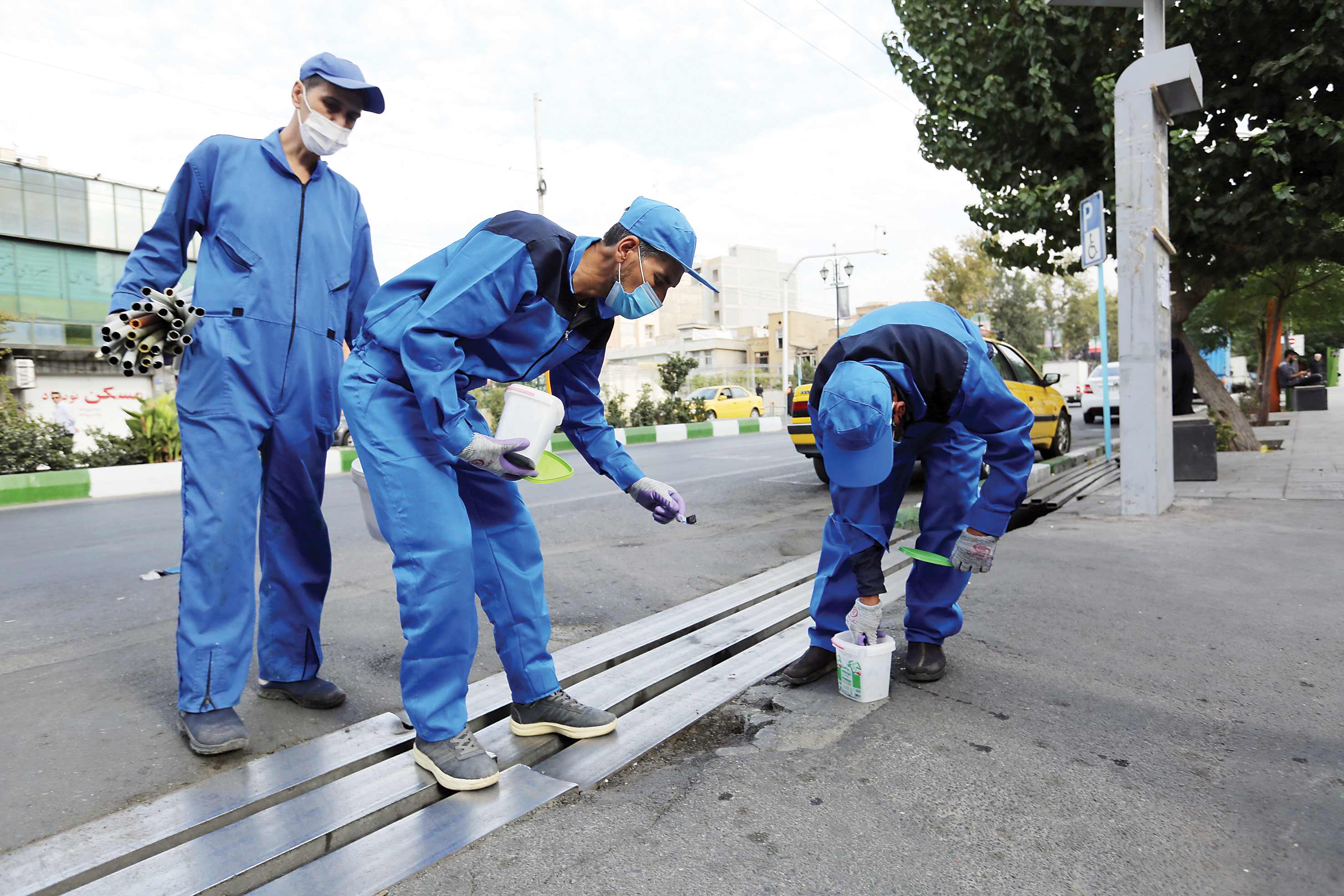 جدال پایتخت با جونده‌های موذی