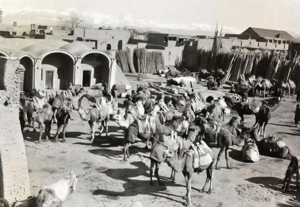 نفس‌های تاریخ در قلب ری