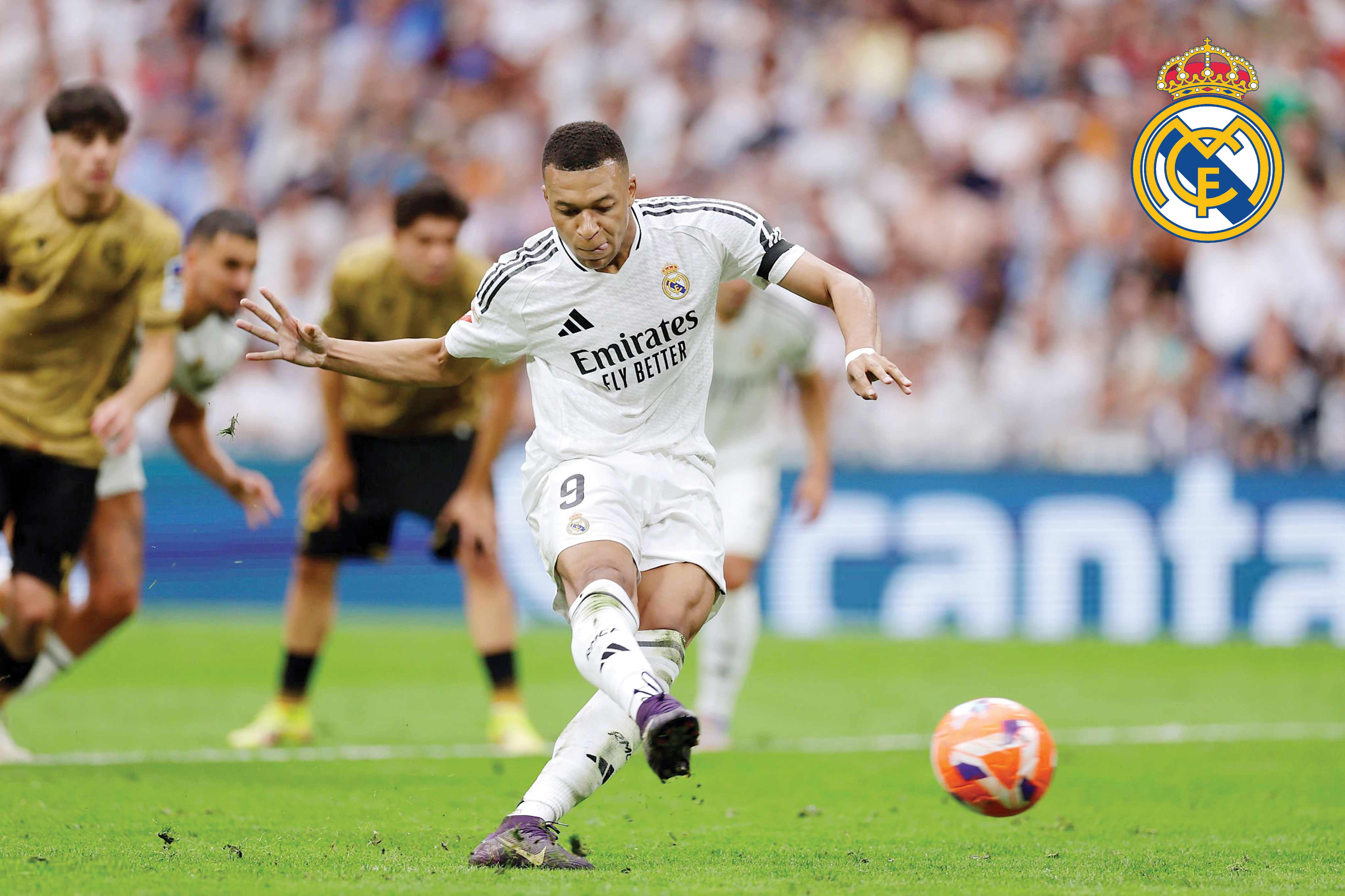 تک و تنها با دروازه