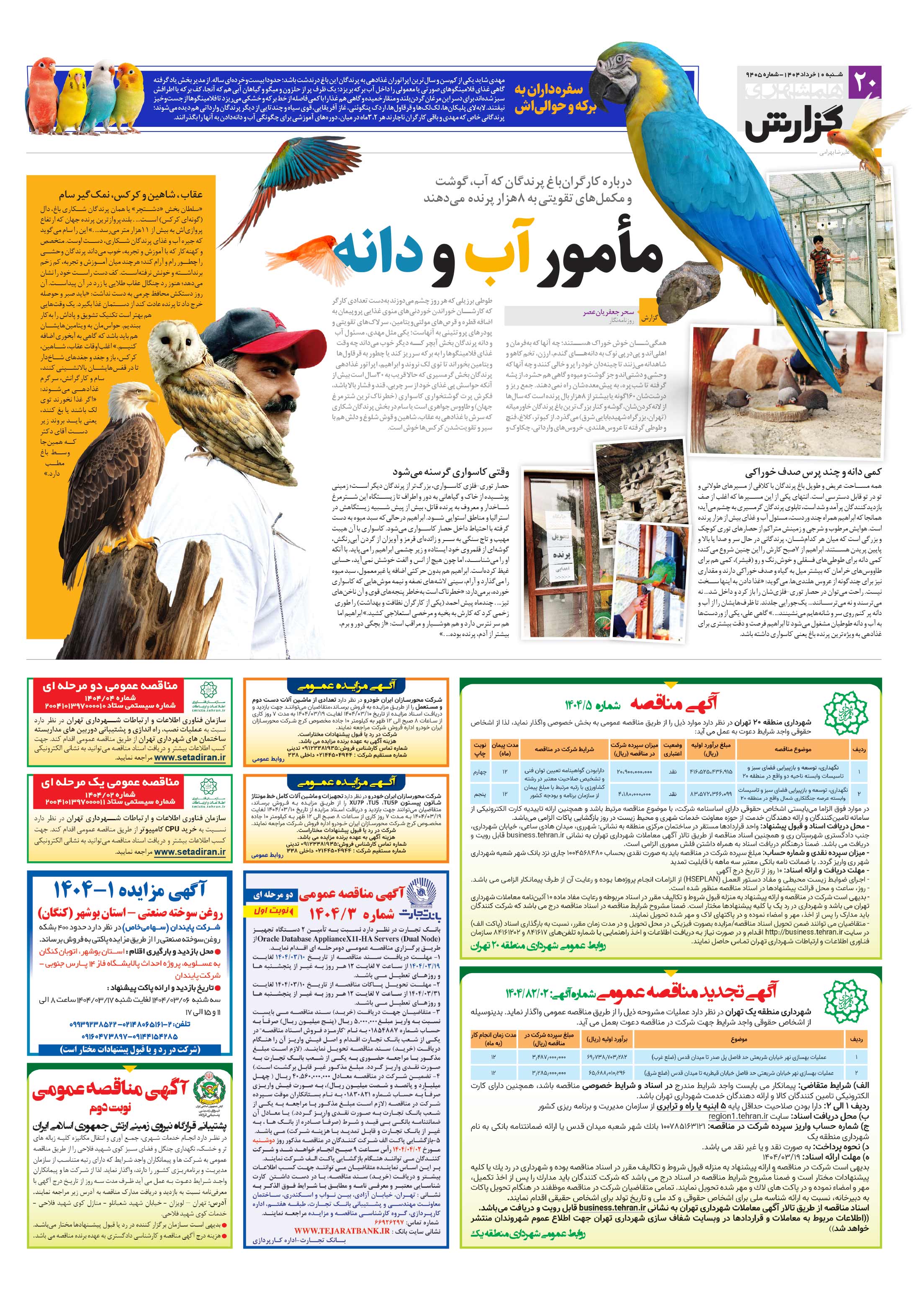 همشهری گزارش