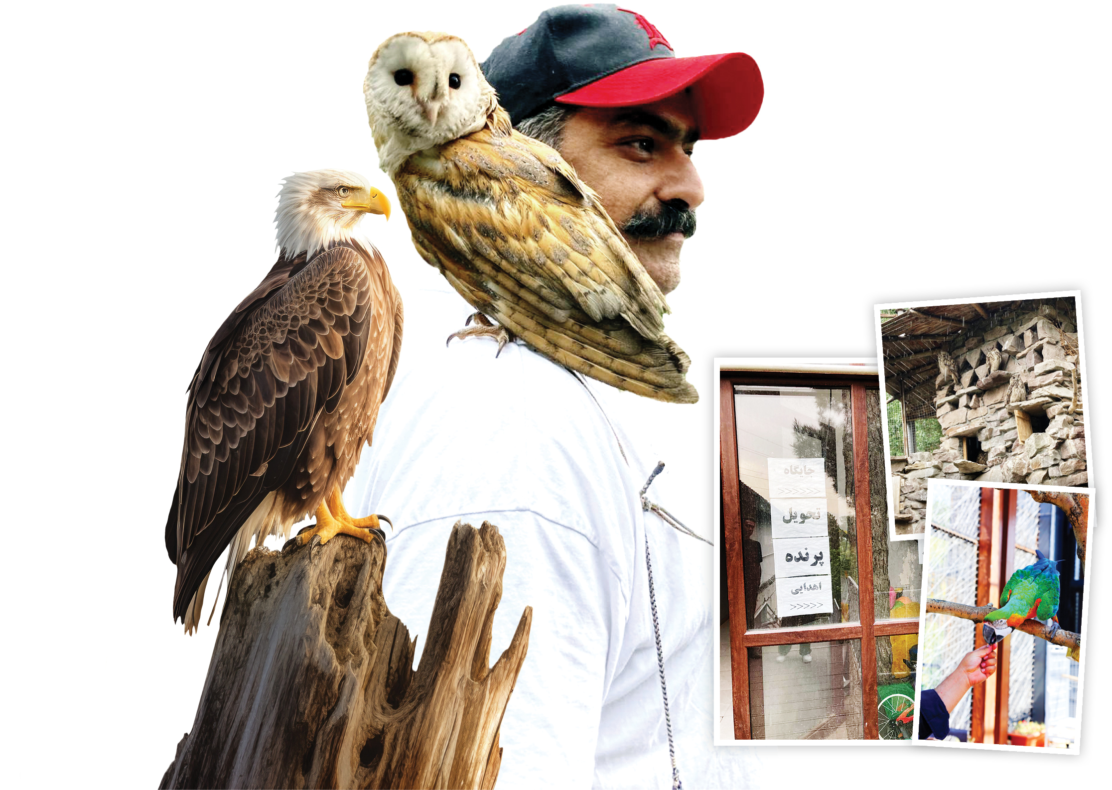 درباره کارگران‌باغ پرندگان که آب، گوشت و مکمل‌های تقویتی به 8هزار پرنده‌ می‌دهند