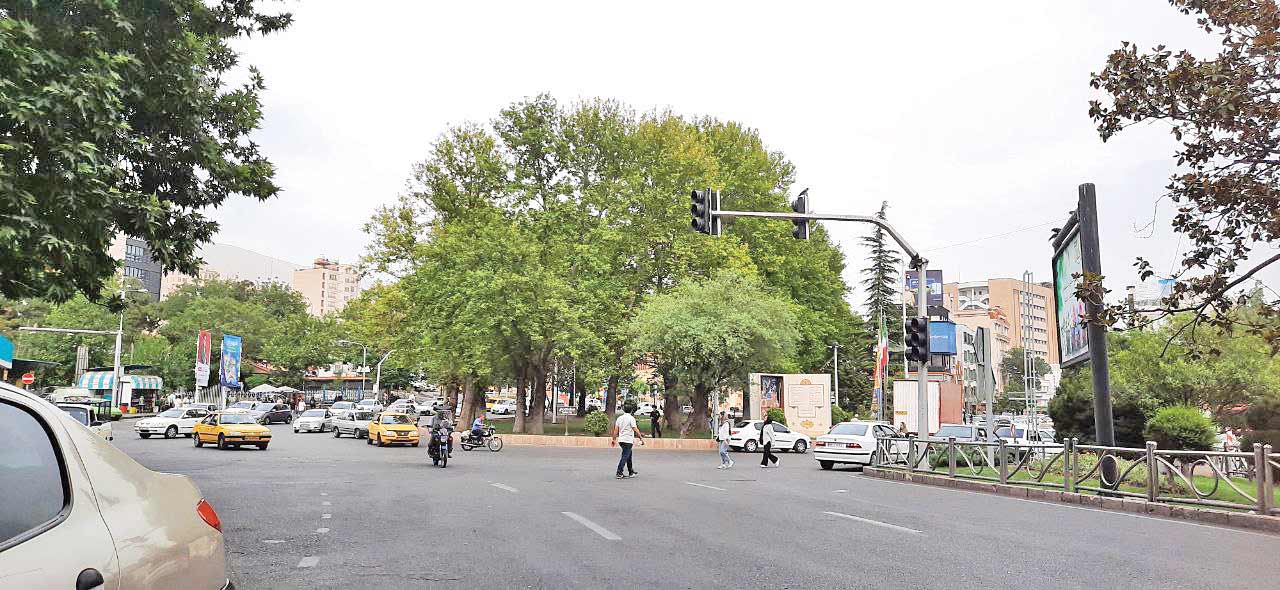 تجریش ساماندهی می‌شود