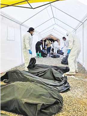 راز کلاهبردار بزرگ با 383جسد